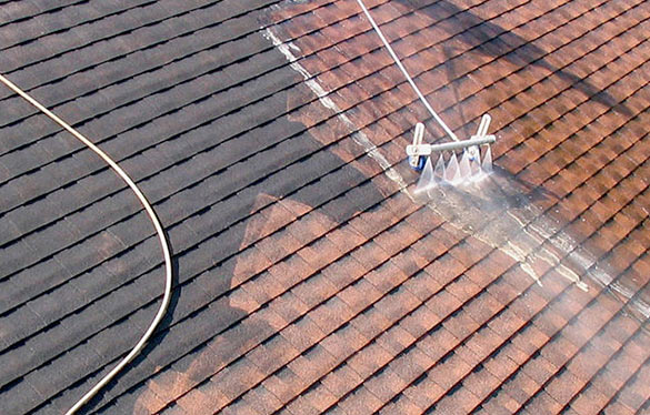 Roof Cleaning Business In Sutton