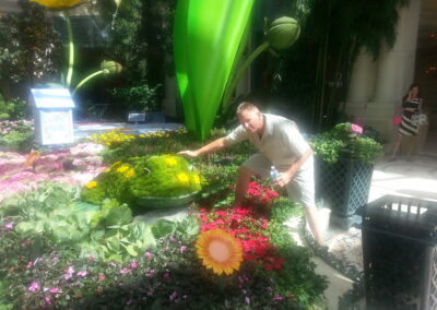 Douglas Touching Frog Flower in Las Vegas